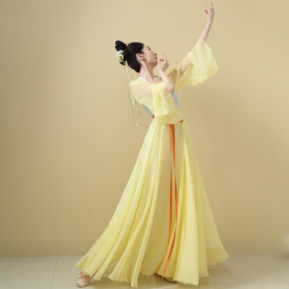 Chinese Hanfu Costume Tang Dynasty for Women Classical Dance Costume Dance Skirts Embroidery Top Chinese Style Clothes