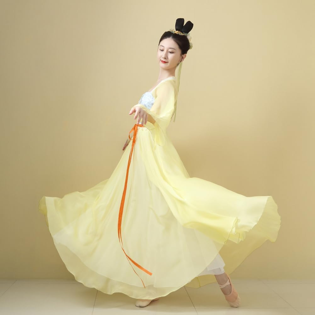 Chinese Hanfu Costume Tang Dynasty for Women Classical Dance Costume Dance Skirts Embroidery Top Chinese Style Clothes
