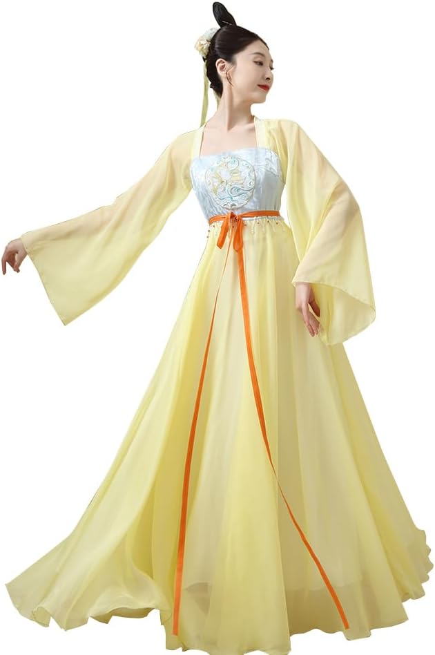 Chinese Hanfu Costume Tang Dynasty for Women Classical Dance Costume Dance Skirts Embroidery Top Chinese Style Clothes