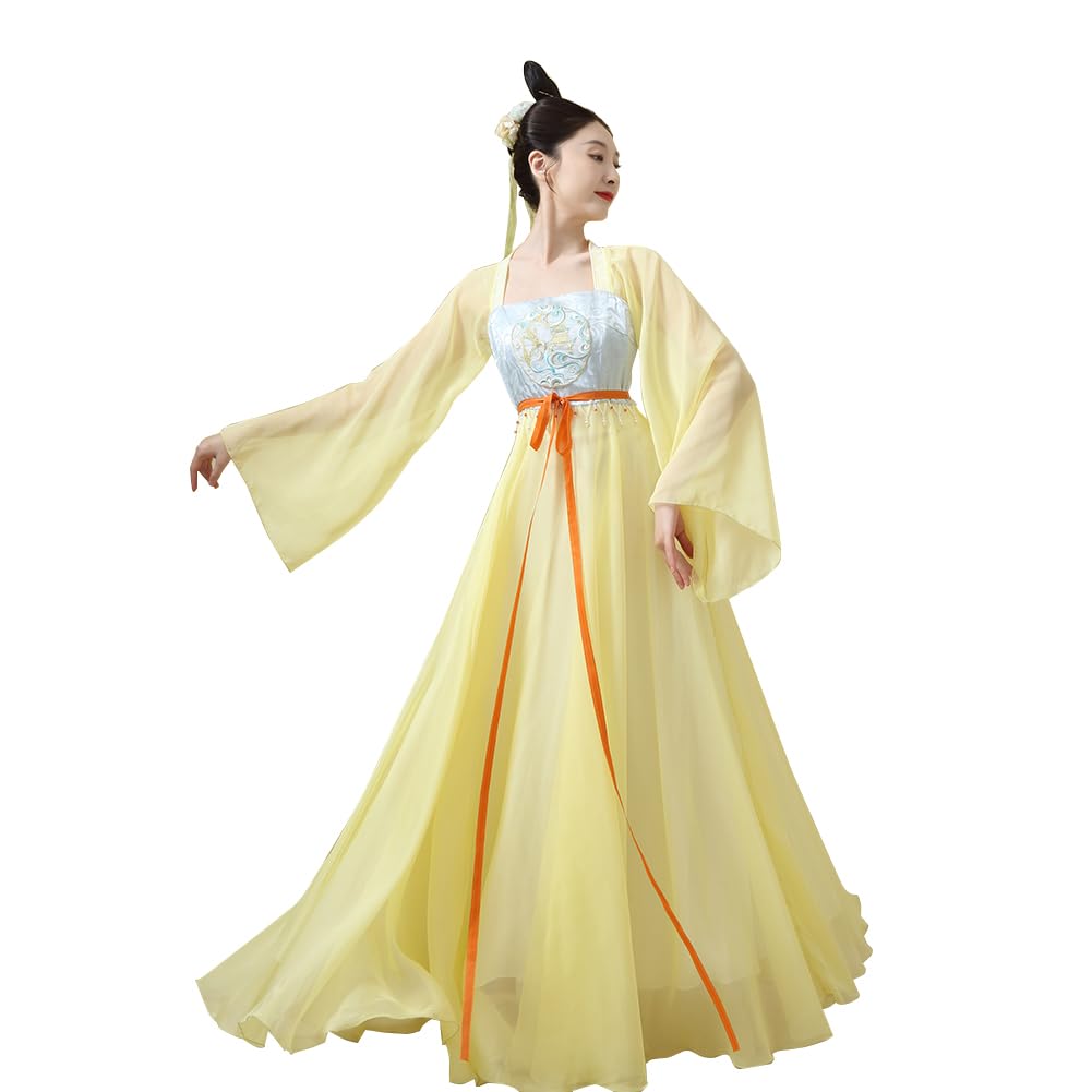 Chinese Hanfu Costume Tang Dynasty for Women Classical Dance Costume Dance Skirts Embroidery Top Chinese Style Clothes