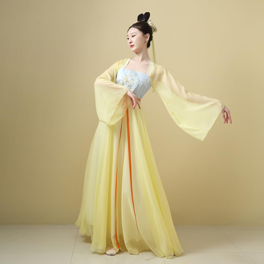 Chinese Hanfu Costume Tang Dynasty for Women Classical Dance Costume Dance Skirts Embroidery Top Chinese Style Clothes