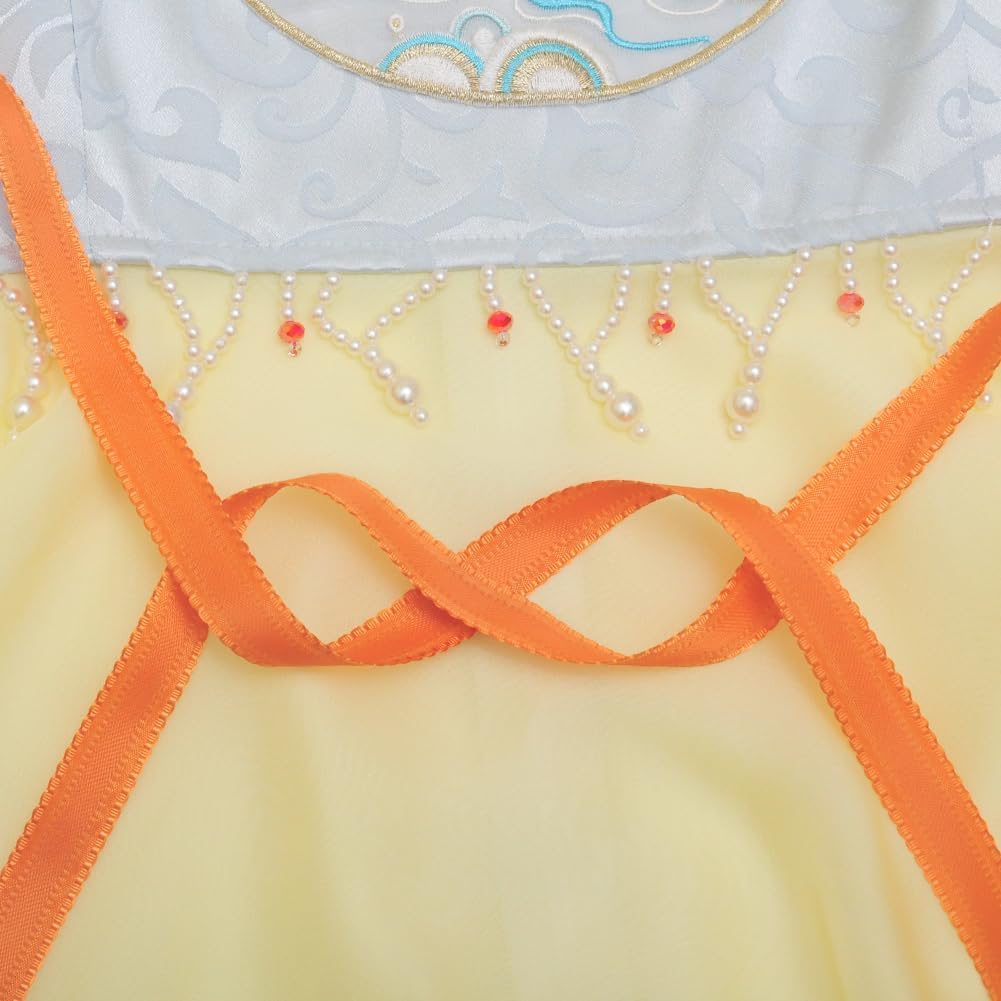 Chinese Hanfu Costume Tang Dynasty for Women Classical Dance Costume Dance Skirts Embroidery Top Chinese Style Clothes