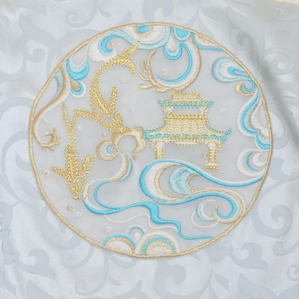 Chinese Hanfu Costume Tang Dynasty for Women Classical Dance Costume Dance Skirts Embroidery Top Chinese Style Clothes