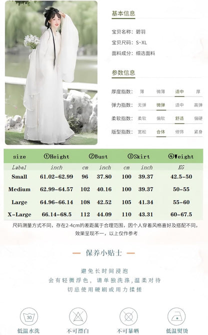 Chinese Hanfu Dress for Women Traditional Embroidered Clothing Elegant Hanfu Costume