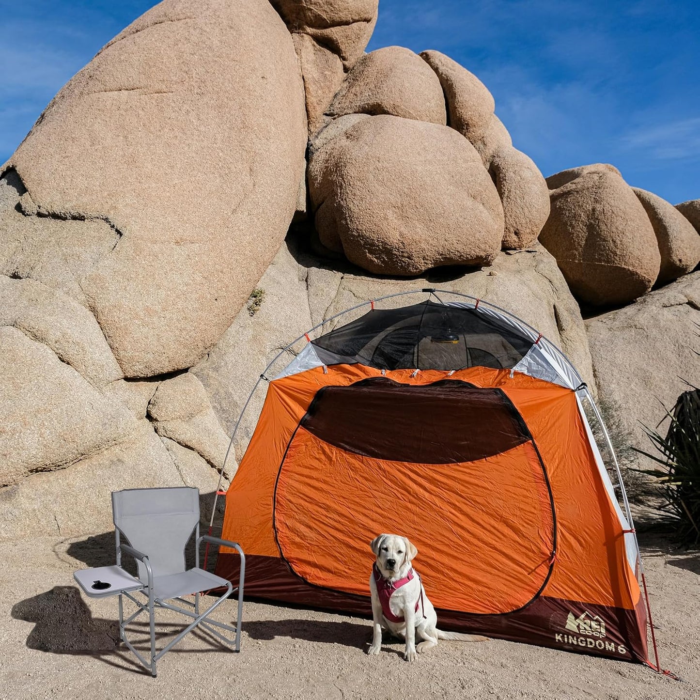 Zenithen Portable Outdoor Director's Folding Chair with Side Table Perfect for Sporting Events, Outdoor Activities, Camping, Patio Furniture, and Relaxing, Light Grey